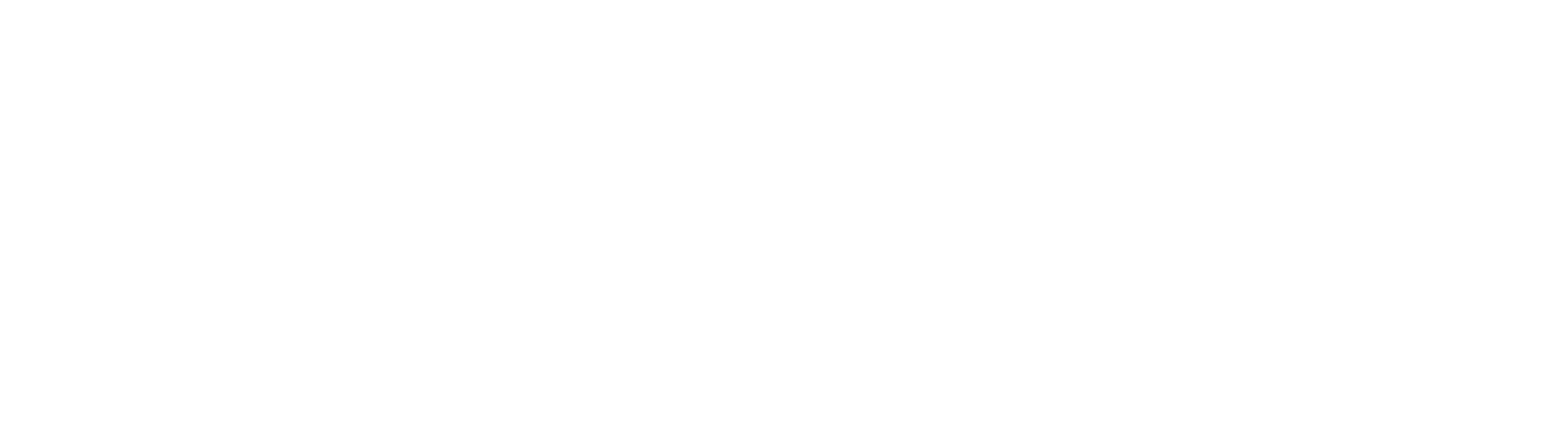 Gipser Zwyssig